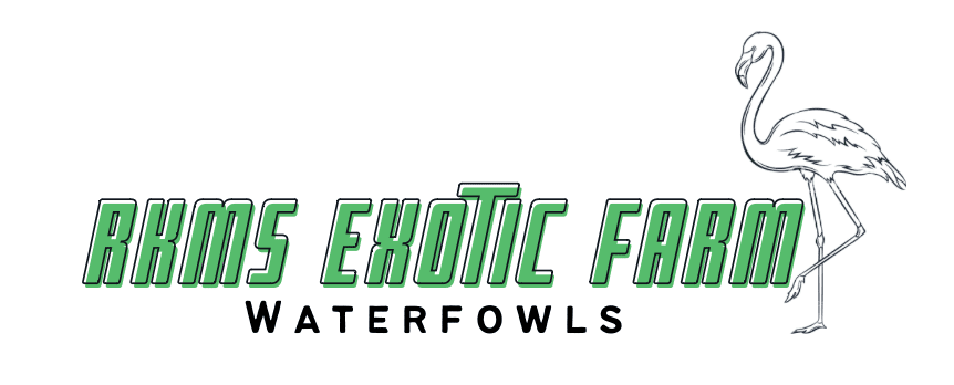 RKMS Exotic WaterFowl farm